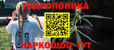 крисы Малгобек
