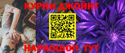 крисы Малгобек