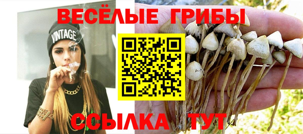 Псилоцибиновые грибы мухоморы  Псилоцибиновые грибы GOLDEN TEACHER  Вход с VPN  Гусев 