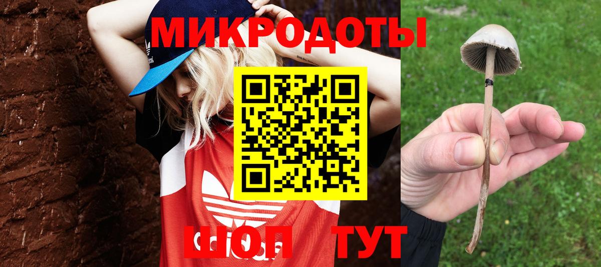 Галлюциногенные грибы Cubensis Гусев